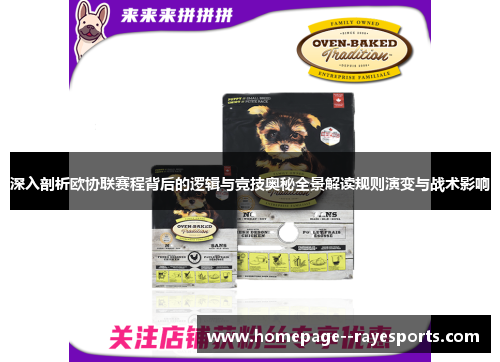 深入剖析欧协联赛程背后的逻辑与竞技奥秘全景解读规则演变与战术影响