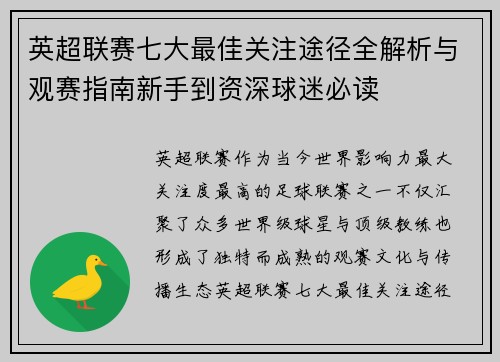 英超联赛七大最佳关注途径全解析与观赛指南新手到资深球迷必读 英超联赛七大最佳关注途径全解析与观赛指南新手到资深球迷必读