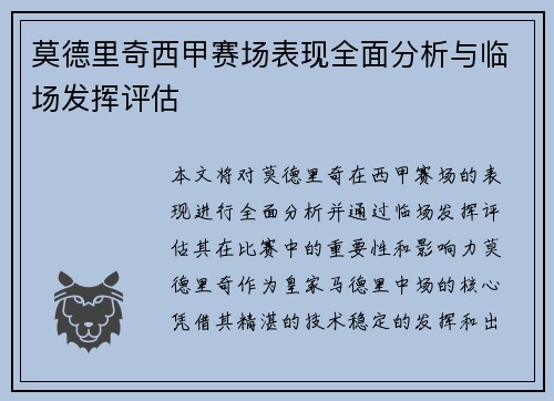 莫德里奇西甲赛场表现全面分析与临场发挥评估